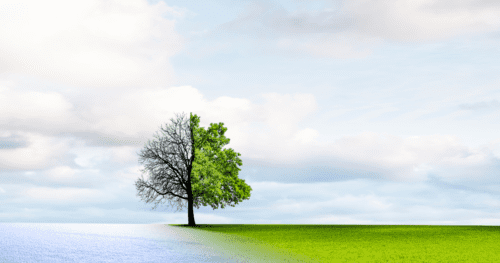 Breathing Transitions - LB Acting Studio